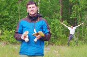 Грибы вызывающие галлюцинации... Из леса!